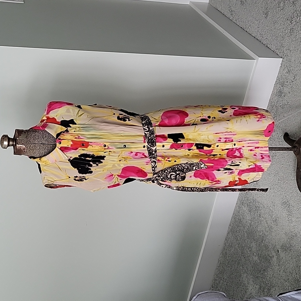 Silk dress anthropology